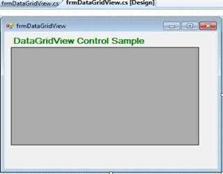 DataGridView Control in C#.Net