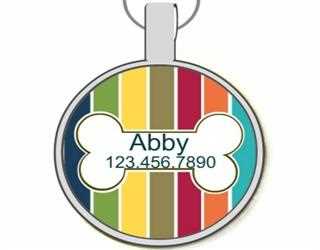 Are You Feeding Your Dog the Right Amount?