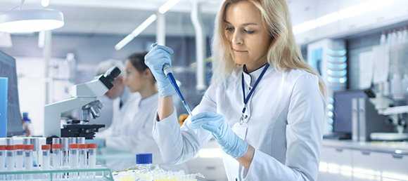 DMPK Studies During Drug Discovery and Development