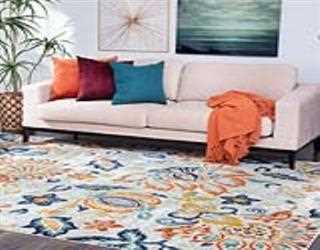 Cleaning the carpets: tips for caring for the antique carpet