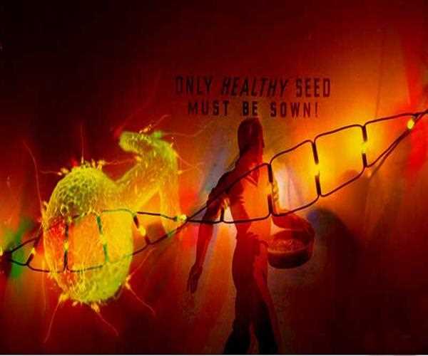 Why are Healthy Sperm Smarts Important?