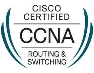 CCNA Training and Certification - Do Not Let the Big Data Go Past You