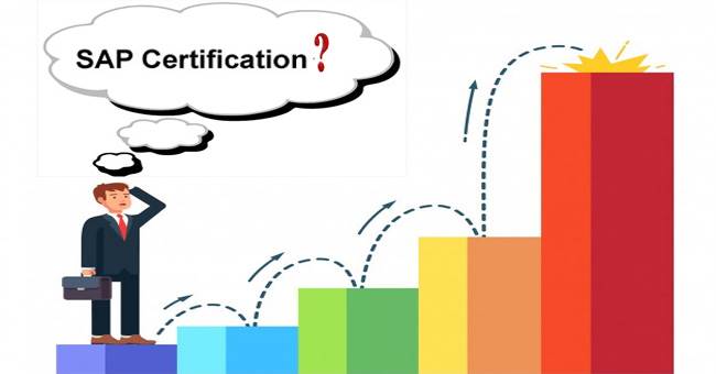 What is the Scope of SAP EWM?