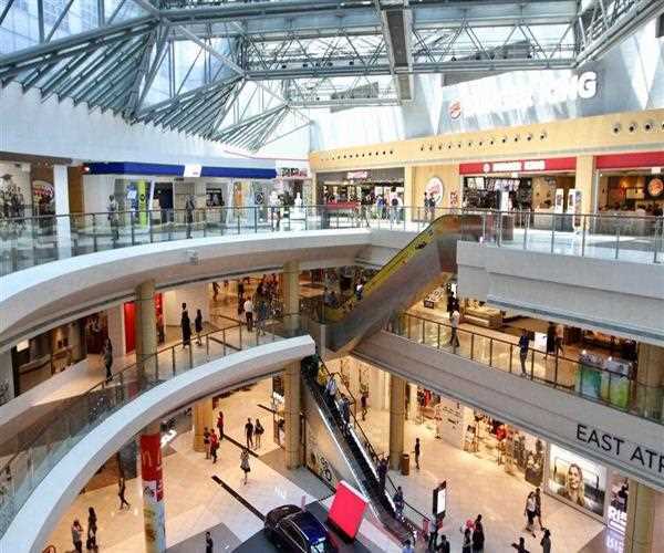 In Conversation with Maplewave CEO Matthew Brannon: