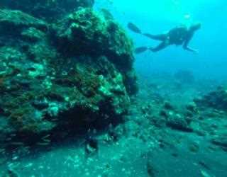 Ultimate adventure guide for Scuba diving in Andaman