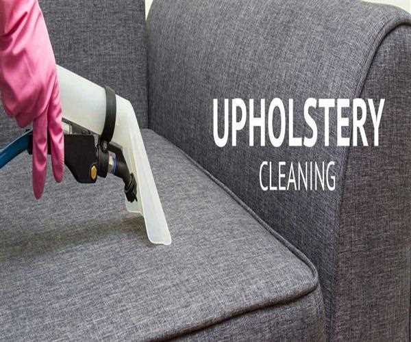 Should I Hire Professional Upholstery Steam Cleaner Services?