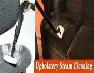 Should I Hire Professional Upholstery Steam Cleaner Services?