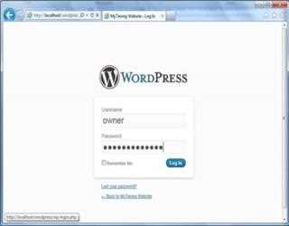Creating and Using Posts in WordPress