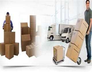 Noida packers and movers
