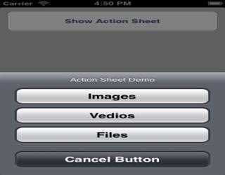 Creating app using UIActionSheet in iOS 6