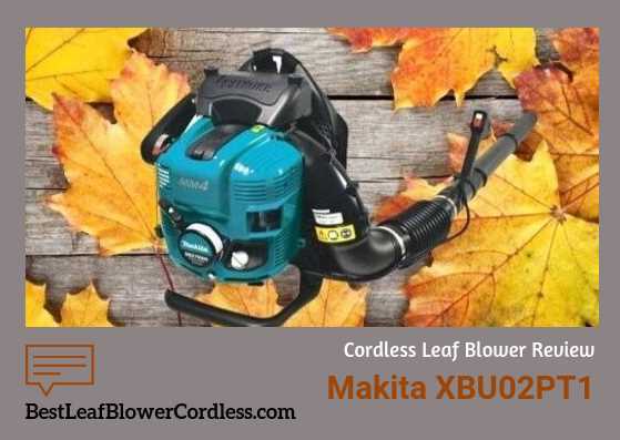 Top Best Cordless Blower Reviews
