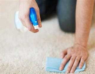 Things to Know about Carpet Cleaning Melbourne