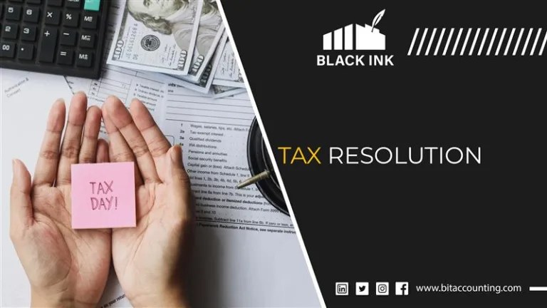 Black Ink Taxation and Accounting Services for Accurate Business Financial Management