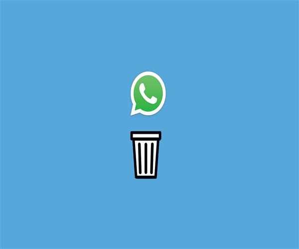 SIGNAL OR WHATSAPP - WHAT TO CHOOSE?
