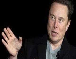 Is Elon Musk launching his own social media platform?