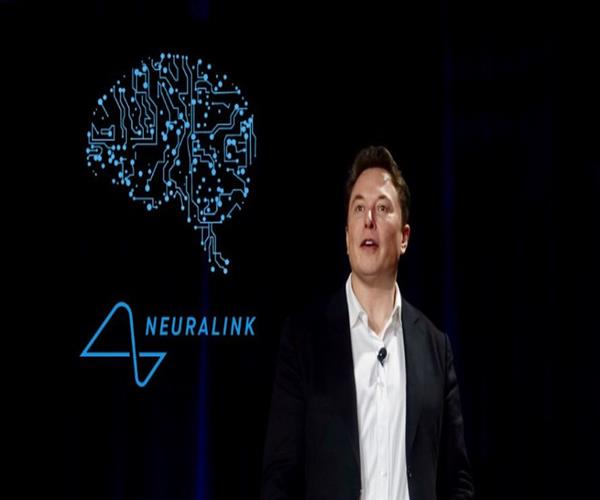 Musk's Brain -chip startup, animal- testing panel questions about Potential Violations