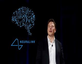 Musk's Brain -chip startup, animal- testing panel questions about Potential Violations