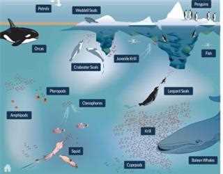 An Unrevealed Ecosystem Discovered Underneath the Icy Antartica's Surface By Analysts