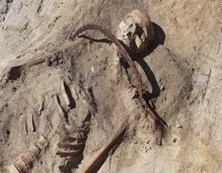 A 17th Century Polish Vampire was Discovered by Archeologists