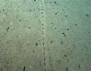 Scientists have No Clue about the Holes on the Ocean Floor