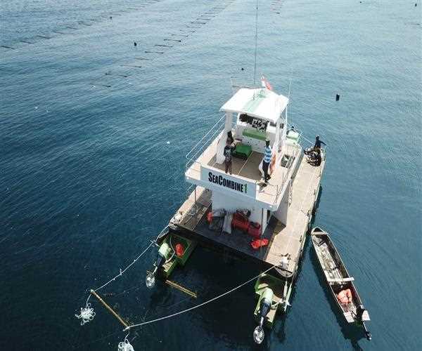 An Indian startup's "sea combine harvester" could transform ocean farming.