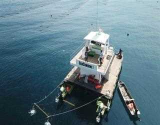 An Indian startup's "sea combine harvester" could transform ocean farming.