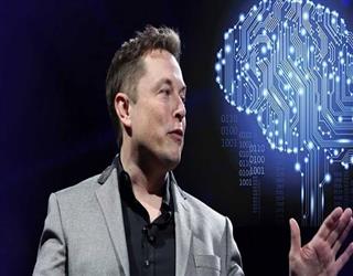 US lawmakers push for greater oversight of Elon Musk's brain chip company Neuralink