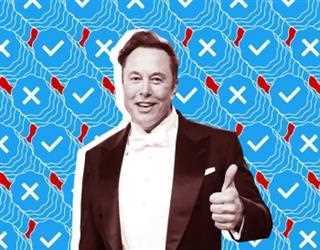 Elon Musk restores some banned Twitter accounts, but has not yet made a decision about Donald Trump.