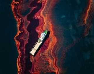 Scientists discovered a novel technique to clean up oil spills 50 years ago.