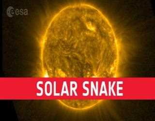 Watch a Solar Snake Move at 380,000 miles per hour Across the Sun's Surface