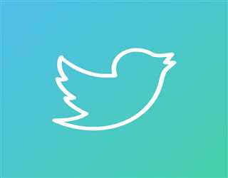Twitter Source Code Has Been Partially Posted on GitHub, According to Documents