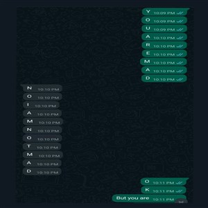 WhatsApp Introduces Chat Themes: How to Find and Use Them