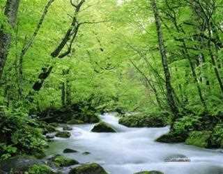 5 Best Ways to Contribute to Nature