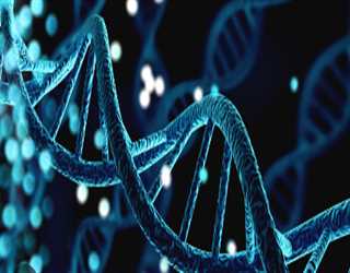 The Human Genome Project: Decoding the Blueprint of Life