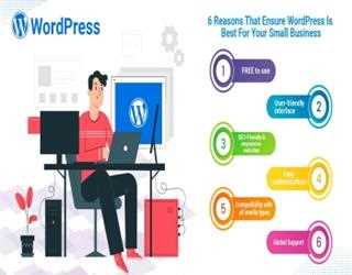 6 Reasons That Ensure WordPress Is Best For Your Small Business