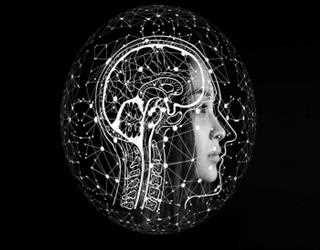 Brains work via their genes just as much as their Neurons