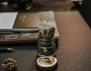Glaucoma and Marijuana