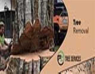 PCTrees Services - Tree Removal Melbourne