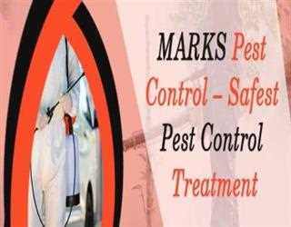 5 Reasons you should Plan Bed Bugs Pest Control at Home