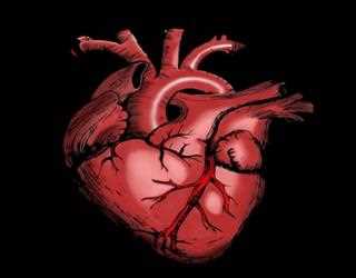 Foods that can save your Heart