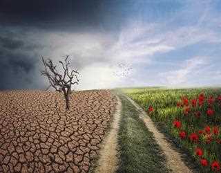 Climate Change and Health