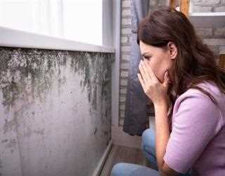 Potential Consequence of Hidden Water Leak