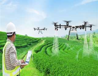 How Artificial Intelligence change the farming practice in India?