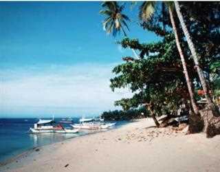 Top 7 things to do in Bohol
