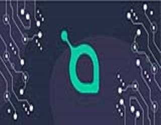 Where does SiaCoin stands in the cluster of cryptocurrencies?