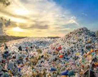 Plastic Pollution: Challenges and Innovations in Plastic Waste Management
