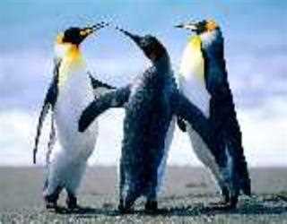 The Art of Easy Marriage Solutions