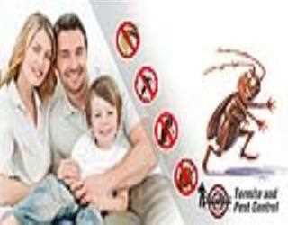 Get a Free Annual Pest service From Sure Shot Exterminator