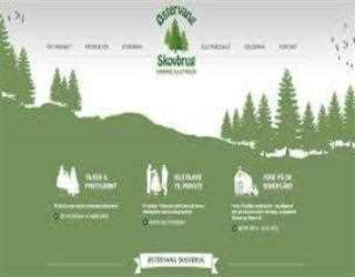 WEB-DESIGN AND ITS VALUE IN THE PROMOTION OF SITES