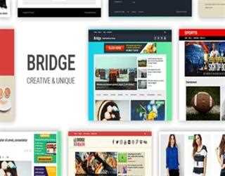 Choosing the Best WordPress Theme That Helps Your Business Grow